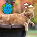 Katherine Tuggle - Facebook
