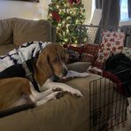 Katherine Turnquist - Facebook