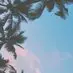 ulmer_katherine - @ulmer_katherine - TikTok