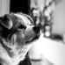 Katherine Vu - Facebook