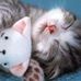 Katherine Wake - Facebook