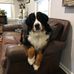 Catherine Warner - Facebook