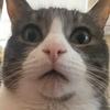 Hi - @sara.katherine.weems - TikTok