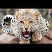 Catherine Weinstein - Facebook