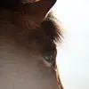 Katherine Whitlock - @katherine.whitloc - TikTok
