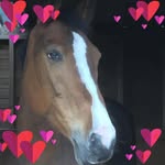 Katherine Whitmore - @kwhitty65 - Instagram