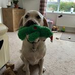 Katherine Wilde - Facebook