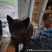 Katherine Winston - Facebook