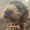 katherineworden1 - @katherine.worden - TikTok
