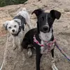 Katy Wright - @kathryn.wright - TikTok