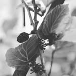 kathryn Austin - @kathrxn_photography_acc - Instagram