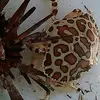 Kathryn Austin - @kathryn.austin18 - TikTok