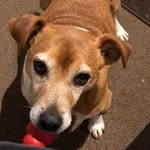 Kathy Carter - @kathryn.carter.3998 - Instagram