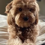 Kathryn Erickson “Dugas” - @marridoodle - Instagram