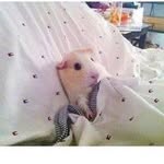 Kathryn James - @kathrynjamesauthor - Instagram