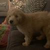 Kathryn Norton - @kathryn.norton - TikTok