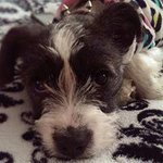 Kathryn Norton Messina - @messinakathryn - Instagram