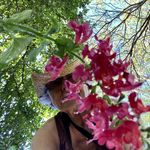 Katheryn Rogers - @moma_kata - Instagram