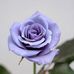 Mary Katheryn Rowell - Facebook