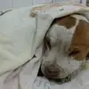 Katheryn Sanchez - @katheryn.sanchez7 - TikTok