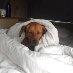 Kathryn Simpson - @gingertwinsrock - Instagram