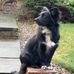 Kathryn Stark - Facebook