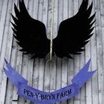 Kathryn Stark - @penybrynfarm - Instagram