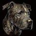 Kathryn Stephens - Facebook