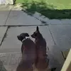 Kathryn Wade - @kathryn.wade6 - TikTok