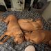 Kathryn Wallace - Facebook