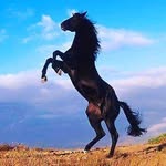 Kathryn Watts - @kathrynwatts7 - Instagram