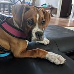 Kathryn Weaver - @welcome_to_ellas_world - Instagram