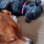 Kathryn Weaver Marks - @kat_m.arks - Instagram