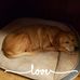 Kathern Infinger Wherry - Facebook