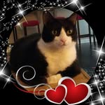 Kathy Abraham - @kathy.abraham.716 - Instagram