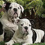 Kathy Adkins - @adkinsk11 - Instagram
