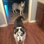 Kathy Adkins - Facebook