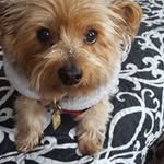 Kathy Albert - @kathyalbert9911 - Instagram