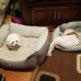 Kathi Allen - Facebook