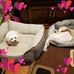 Kathi Allen - Facebook