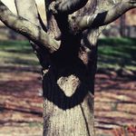 Kathi Arnold - @adriftiniowa - Instagram