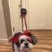 Kathi Bailey Braun - Facebook