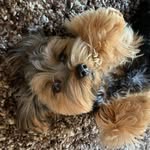 Kathy Barber - @kathy.barber.1806 - Instagram