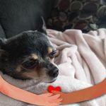 Kathy Barry - @kathy.barry04 - Instagram