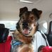 Kathi Becker - Facebook