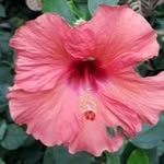Kathi Becker - @kathibecker6 - Instagram