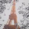 kathy.becker - @kathy.becker - TikTok