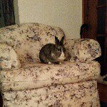 Kathy Beebe - @k.beebe - Instagram