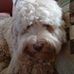 Kathy Beebe - Facebook