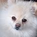 Kathy Beebe - Facebook